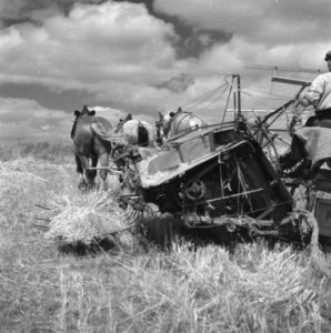 Hollandse boeren gaan in Frankrijk een bedrijf opzetten, Bestanddeelnr 900-5877