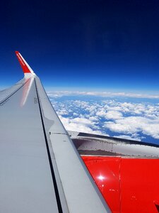 Flat wing flight