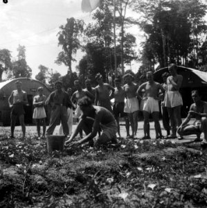 Hollandia Een halfnaakte man oogst iets Om hem heen staat een groep mannen me, Bestanddeelnr 8030