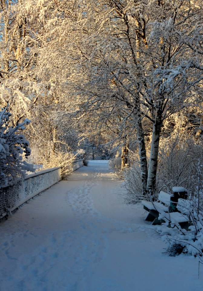 Hollihaka Park Oulu 20131124