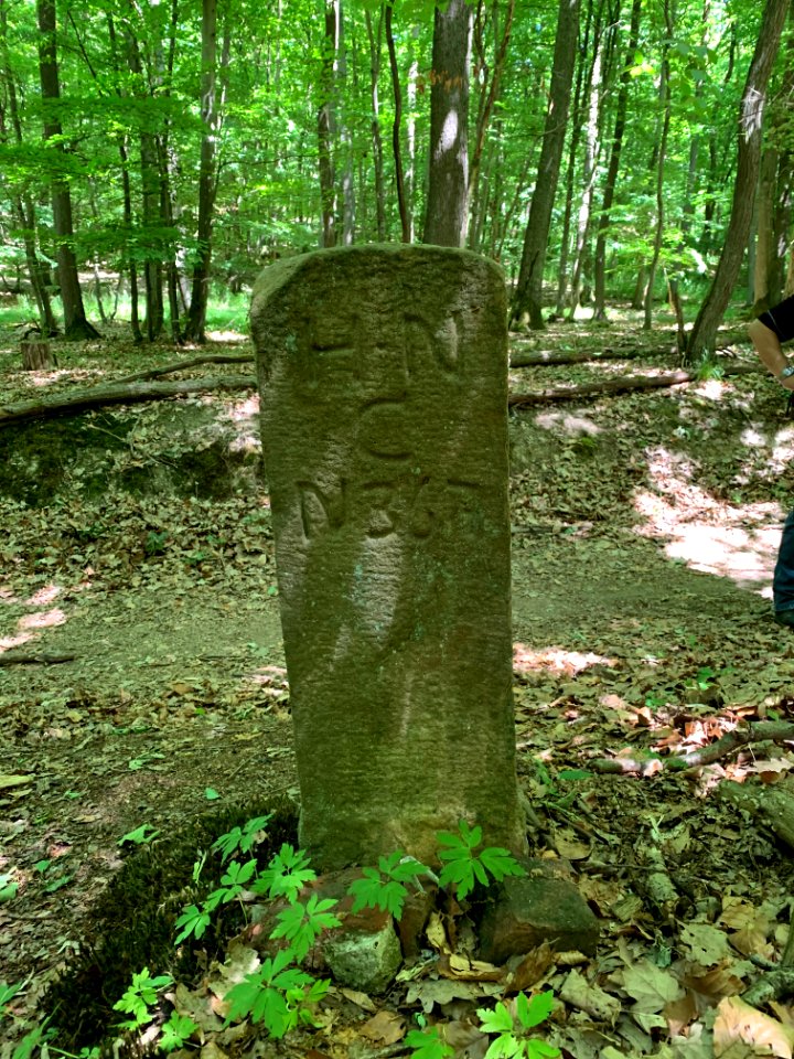 Holzberg, Grenzstein Nassau-Hessen, Nassauische Seite