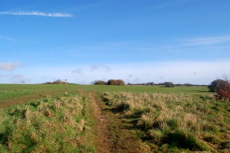 Hollingbury Park Golf Course, Hollingbury Hill, Brighton (February 2020) (4)