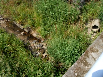 Holzbach unter 1. Brücke Friedrichsthal R0017477
