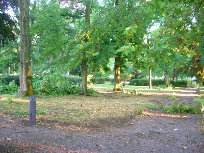 Hofgarten Eichstätt -Botanischer Garten Sturmschaden 1