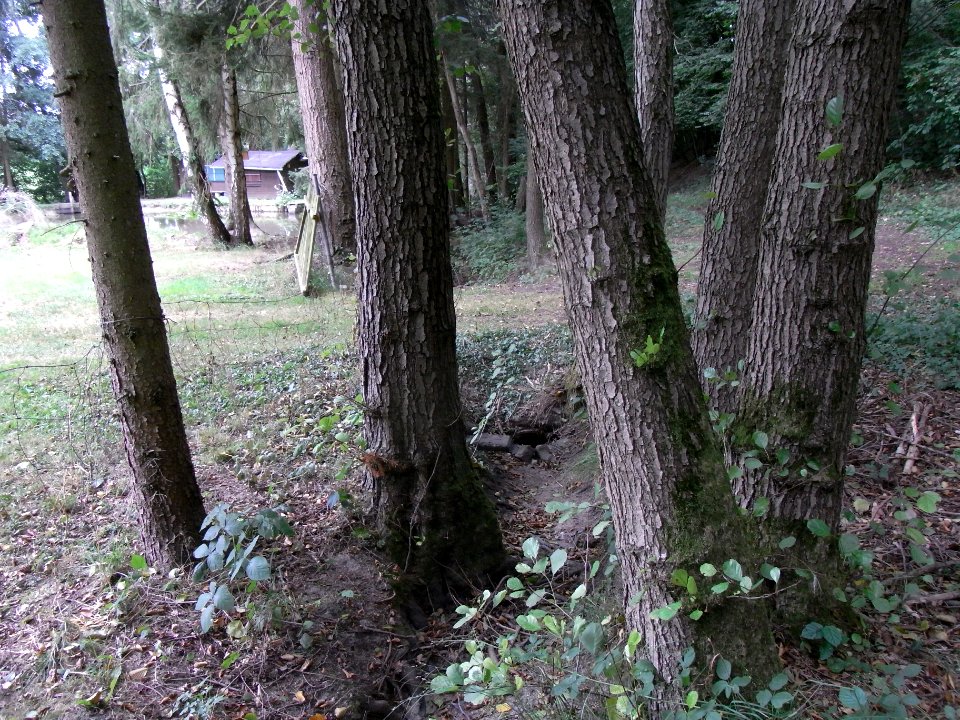 Holzbach 24848344 rechts Kuhtroff an Teichanlage R0017573