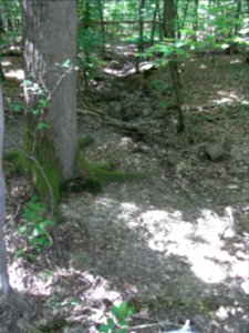 Holzbach 248483424 unter Radweg R0017908