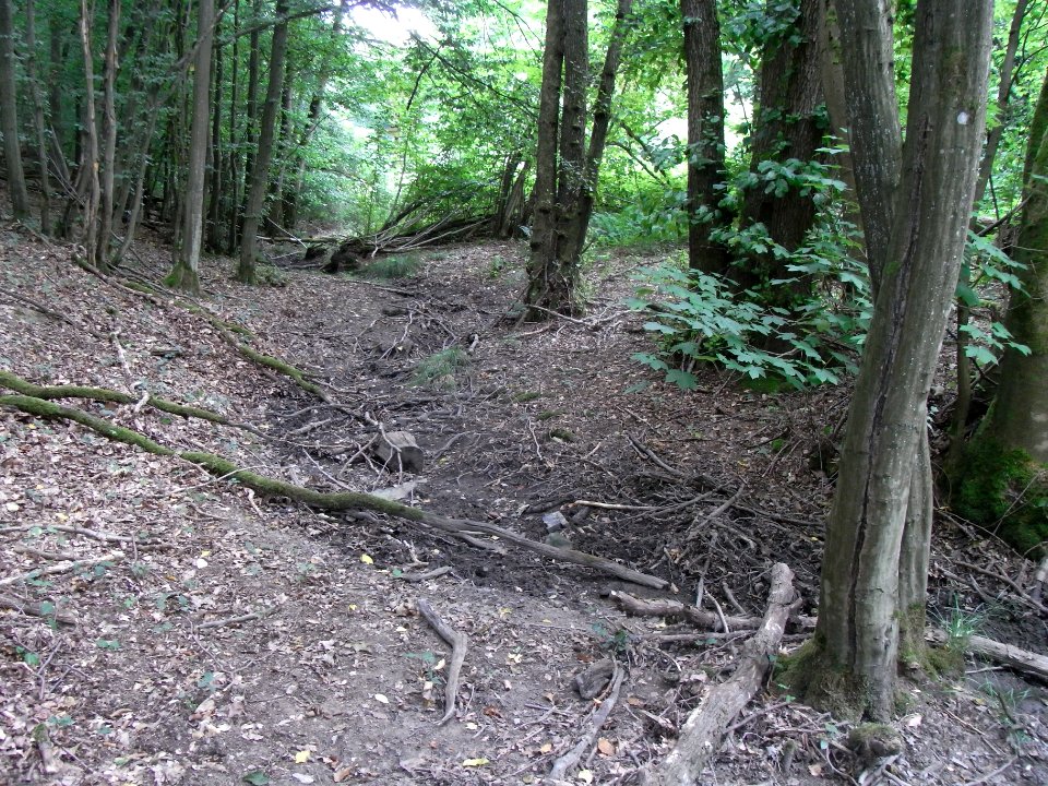 Holzbach 24848344 rechts R0017519