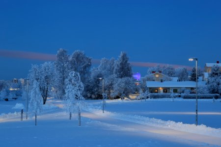 Hollihaka Park Oulu 20190123 03