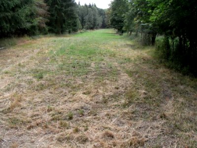 Holzbach 24848342 Wiese SE Teich NE Limes R0017946