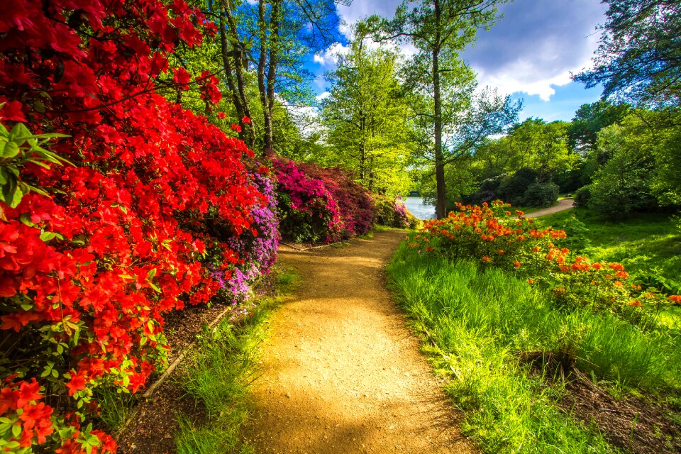 Flowers spring england