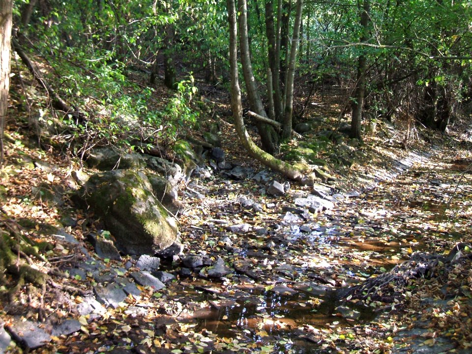 Holzbach Einmündung befestigte Usa