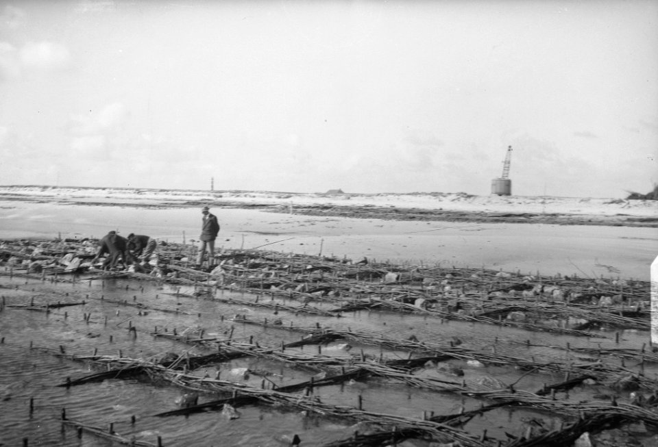 Hollum -Ameland. Ten behoeve van de kustverdediging - ter voorkoming van de duin, Bestanddeelnr 903-5503