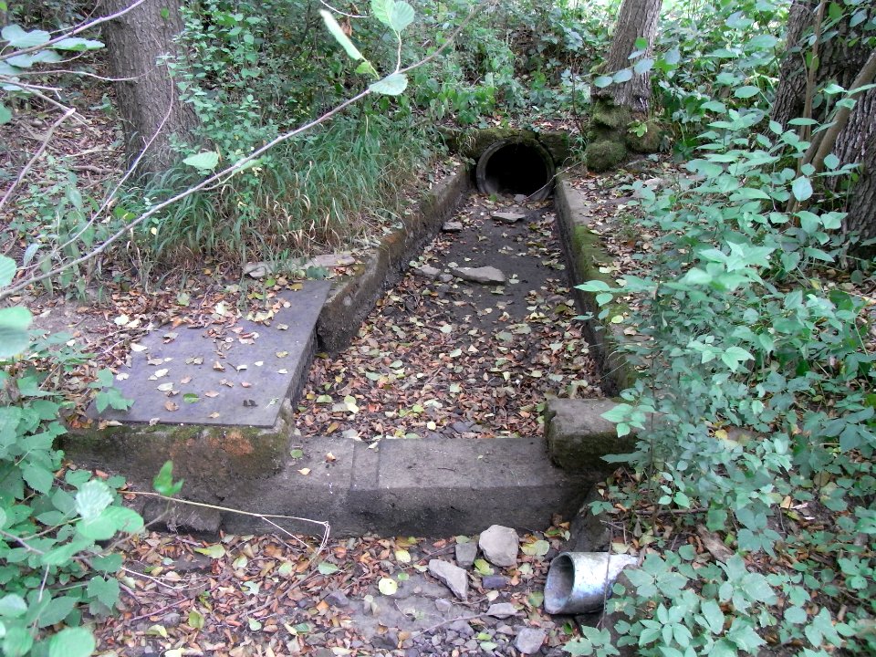 Holzbach Anzapfung Teiche Krummwies R0017603