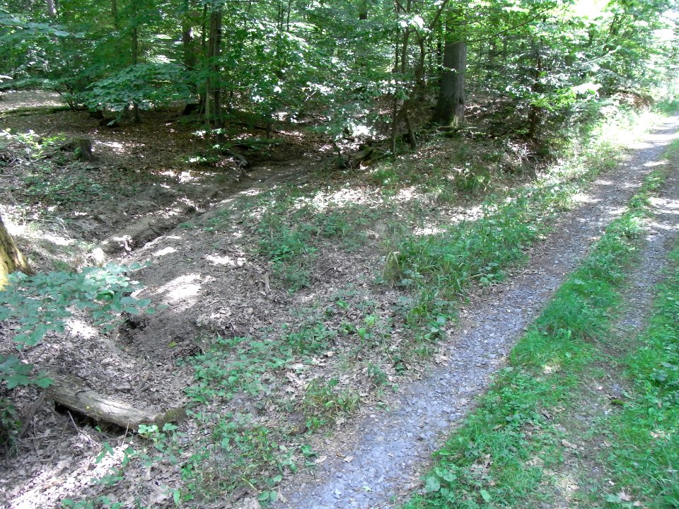 Holzbach 248483424 am Weg R0017768