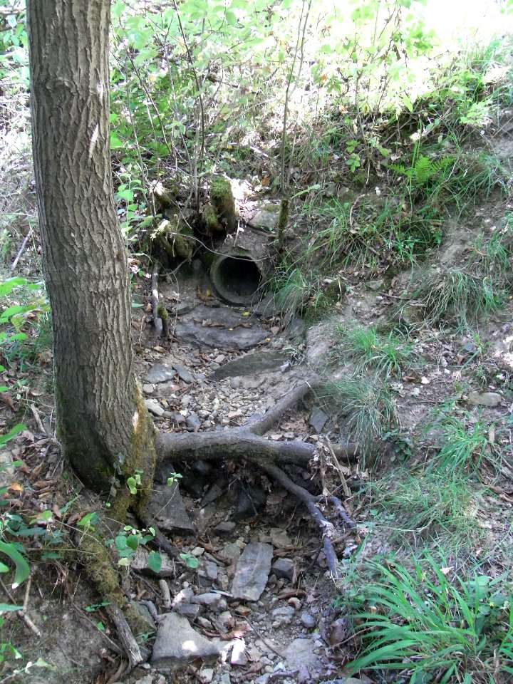 Holzbach 24848342 Durchlass Forsthausstraße aus R0017791