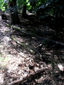 Holzbach 248483422 ober Hochsitz von Süd herab R0018995