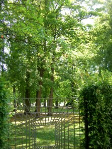 Hofgarten Eichstätt -Botanischer Garten 1