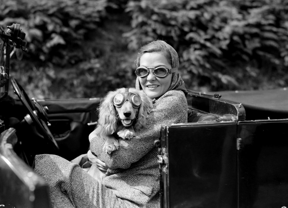 Hollywoodactrice Doreen Sinclair met een hondje in een open auto, beiden met een, Bestanddeelnr 254-2775