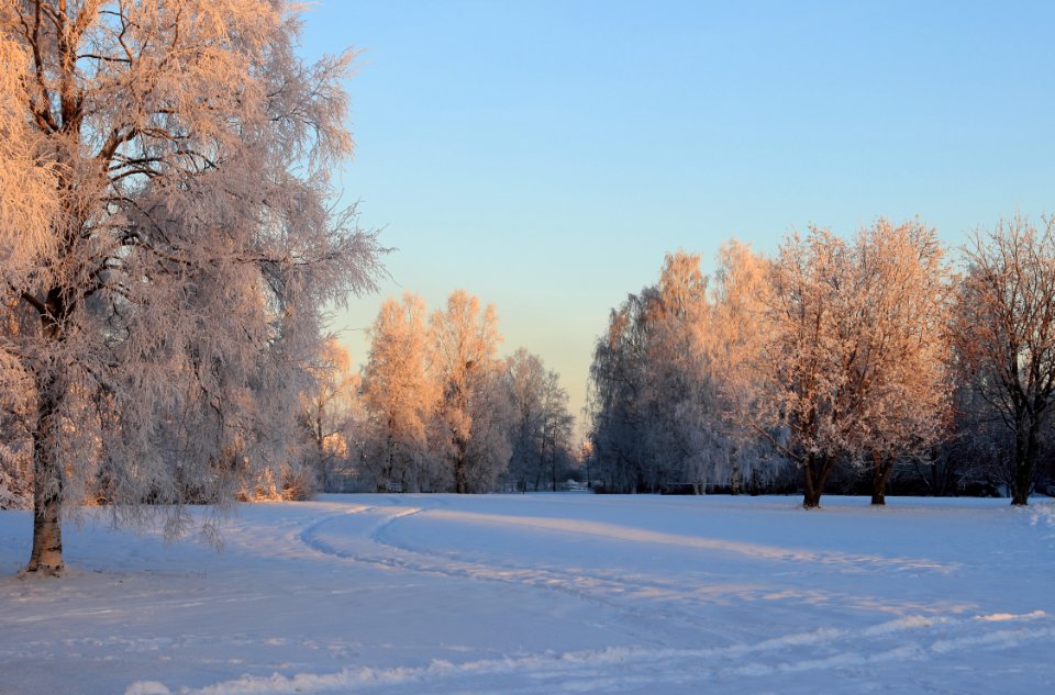 Hollihaka Park Oulu 20150106
