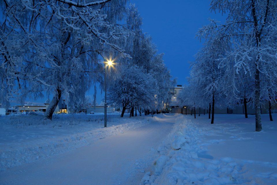 Hollihaka Park Oulu 20190123 01
