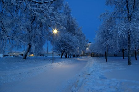 Hollihaka Park Oulu 20190123 01