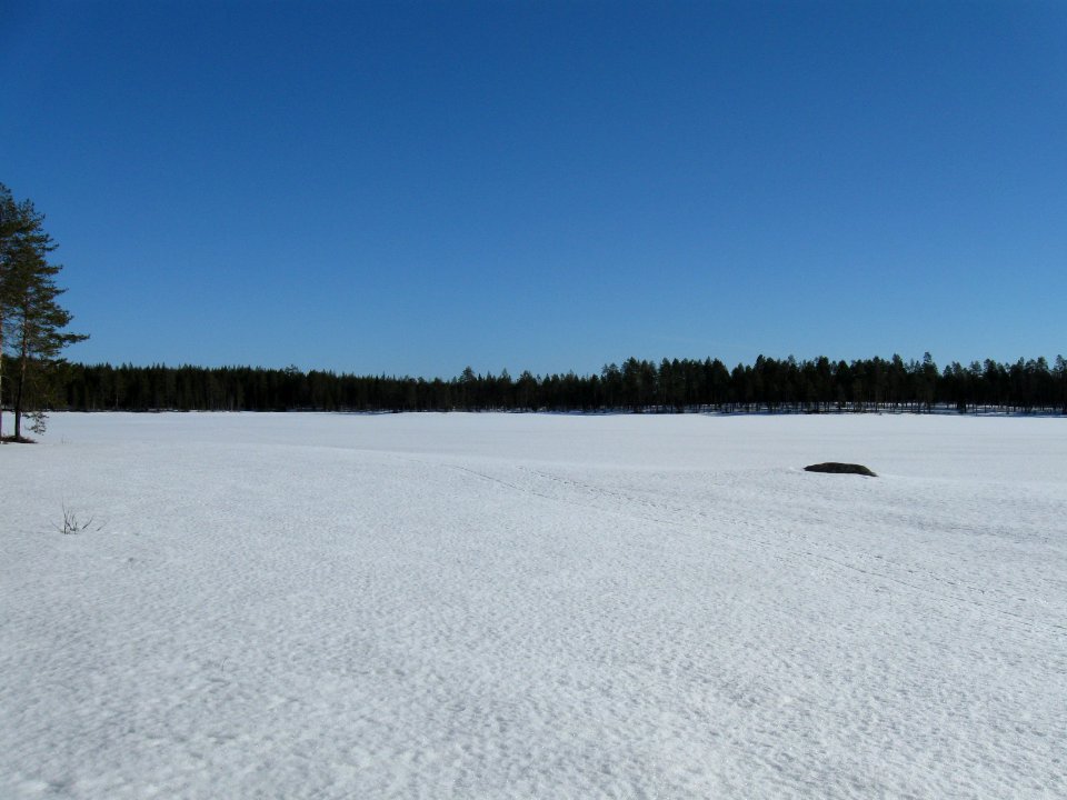 Hollonlampi Pudasjärvi