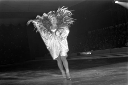 Holiday on Ice Show in Amsterdam. Sjoukje Dijkstra en Joan Haanappel op het ij, Bestanddeelnr 922-9685
