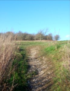 Hollingbury Hill, Brighton (February 2020) (1)