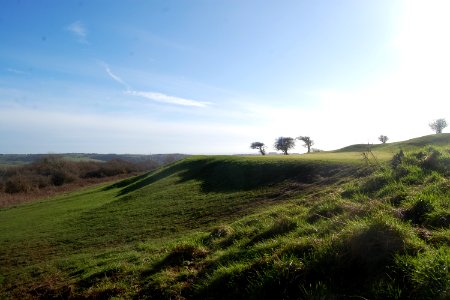 Hollingbury Hill, Brighton (February 2020) (4)