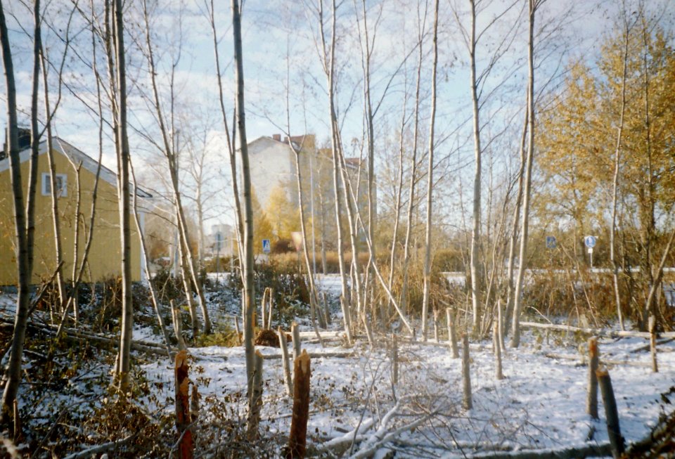 Hollihaka Autumn 2002