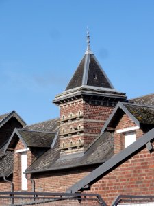 Holnon (Aisne) tour-pigeonnier d'une ferme