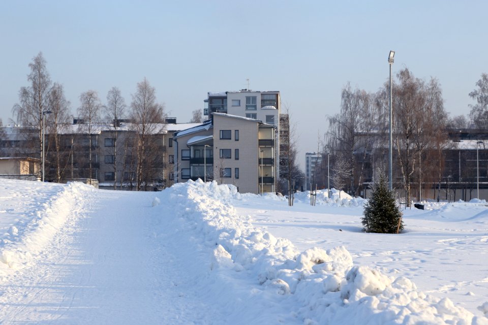 Hollihaka Park Oulu 20190218 02