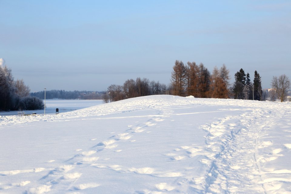 Hollihaka Park Oulu 20190218 04