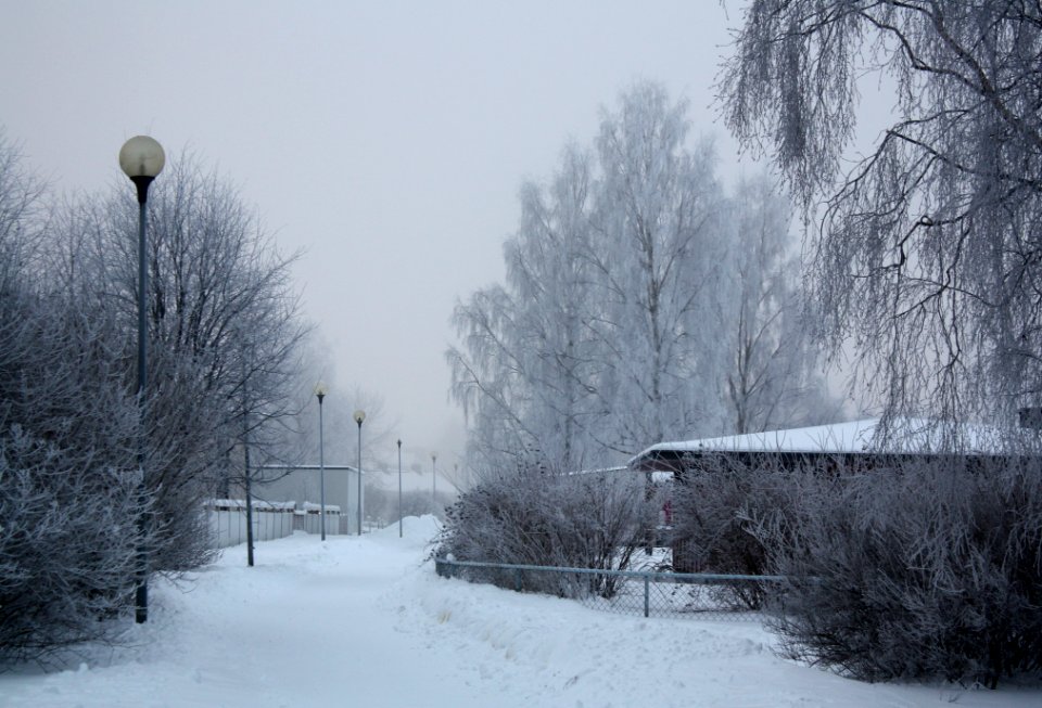 Hollihaka Park Oulu 20120115 02