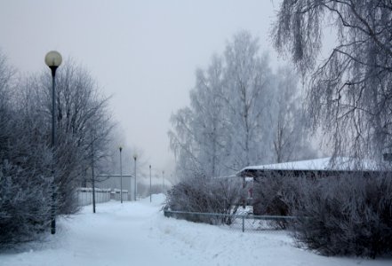 Hollihaka Park Oulu 20120115 02