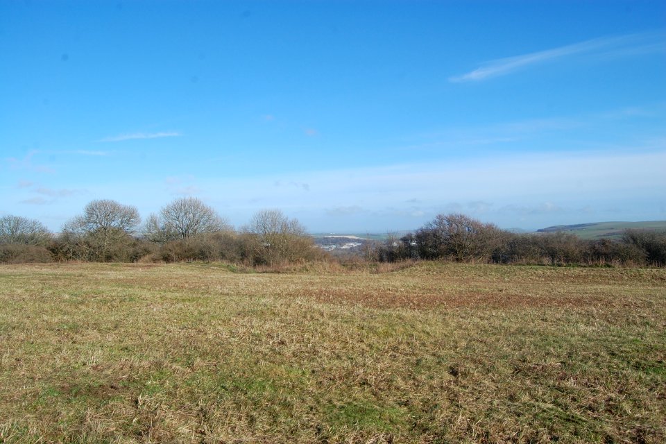 Hollingbury Hill, Brighton (February 2020) (2)
