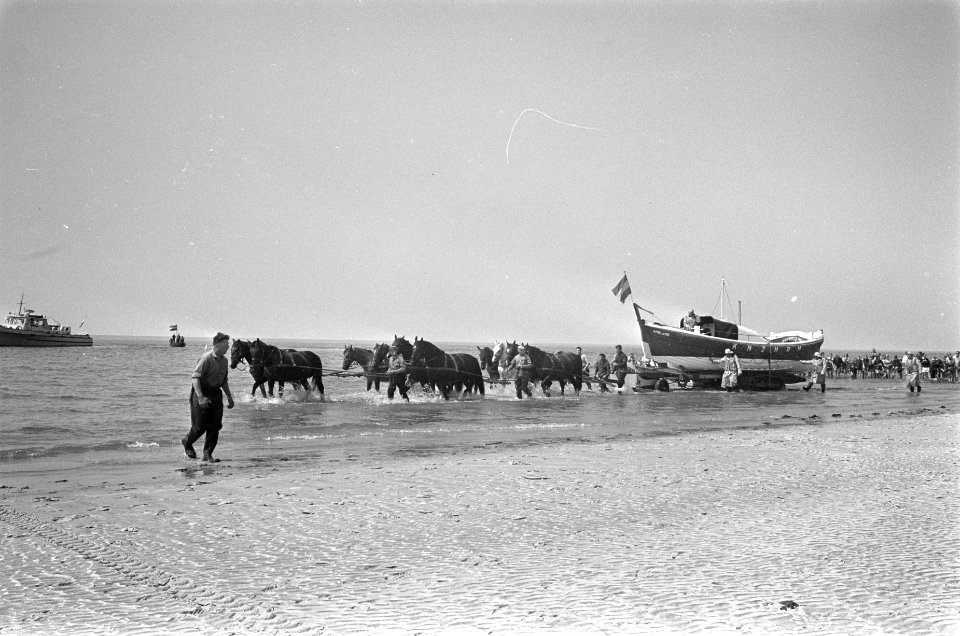 Hollum (Am) . Paarden trekken de reddingsboot de zee in tijdens koninklijk bezoe, Bestanddeelnr 920-4959