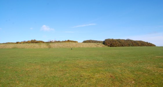 Hollingbury Park Golf Course, Hollingbury Hill, Brighton (February 2020) (12)