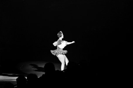 Holiday on Ice in RAI gebouw, tijdens show, Bestanddeelnr 916-9179