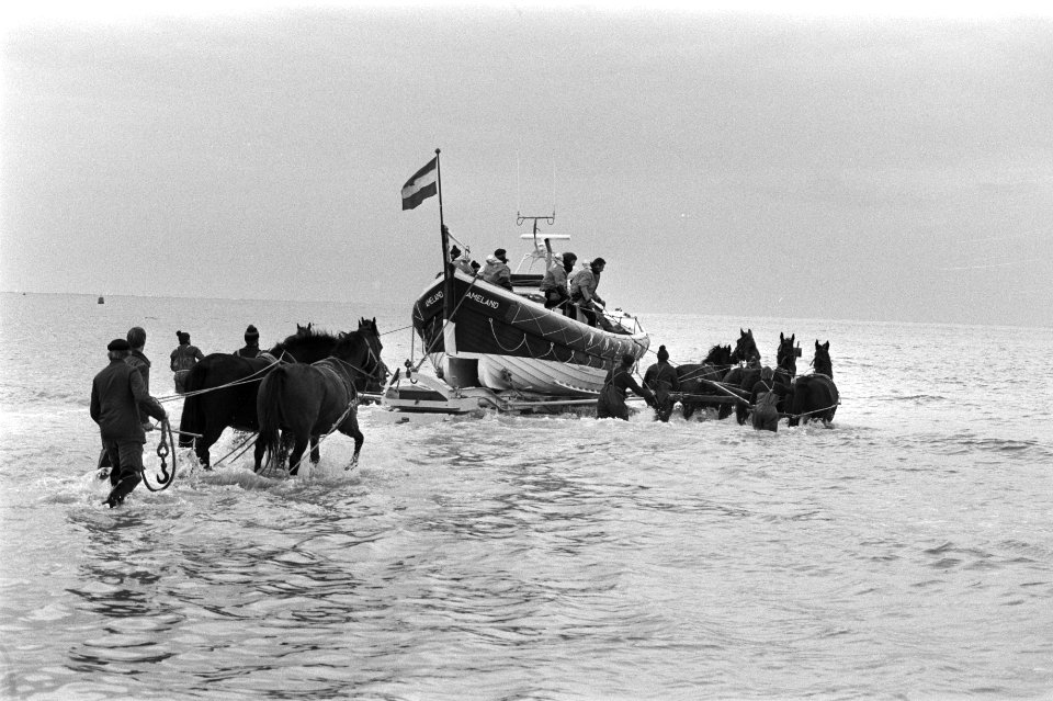 Hollum (Am). De Amelander reddingsboot wordt door paarden in zee getrokken tijde, Bestanddeelnr 931-7421