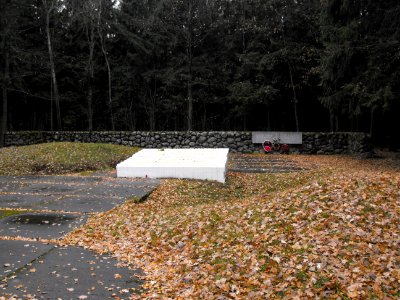 Holocaust Baranavichy Urochische Giy 08