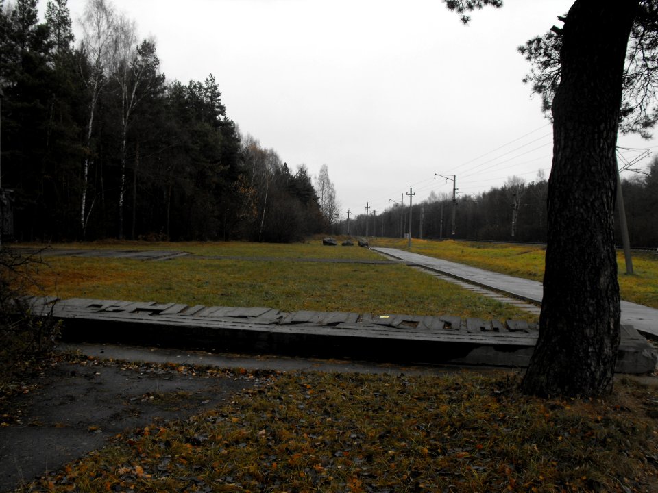 Holocaust Baranavichy Urochische Giy 03