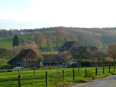Holset-Holset 51 (2)