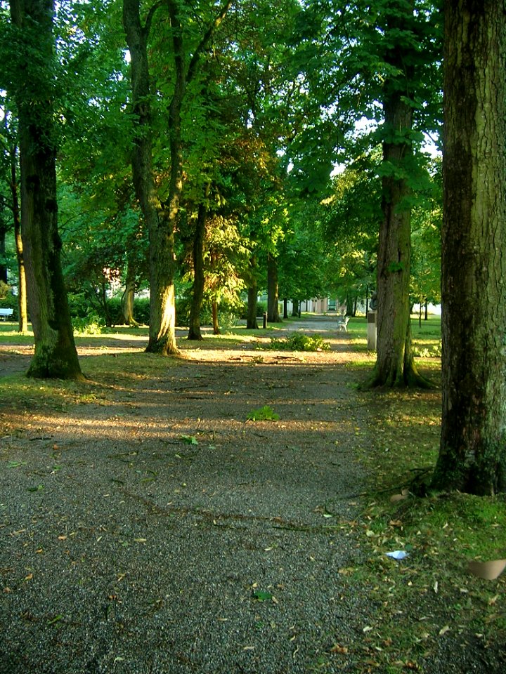 Hofgarten Eichstätt -Botanischer Garten Sturmschaden 2