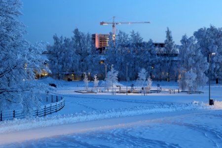 Hollihaka Park Oulu 20190123 05