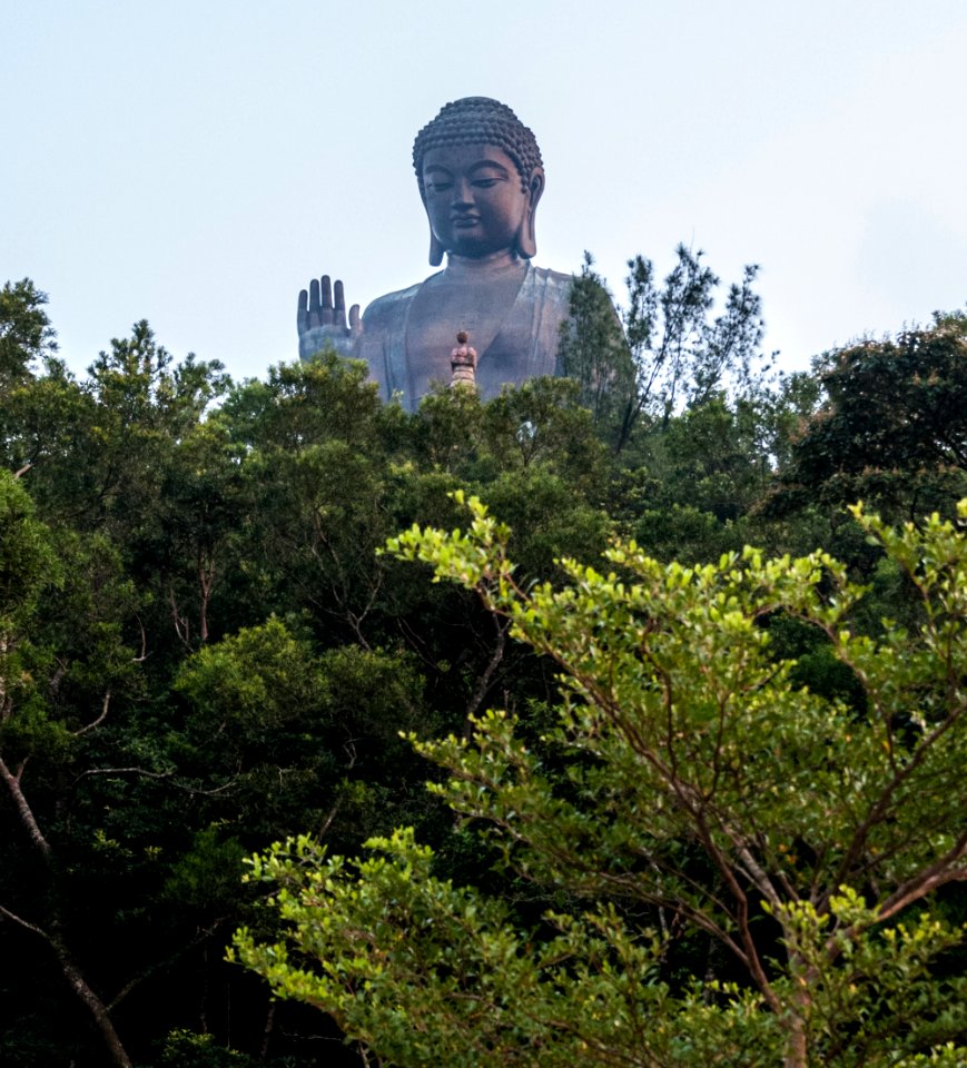 Hong Kong, Budda Tian Tian