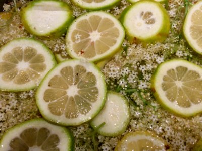 Holunder mit Zitronen (02)