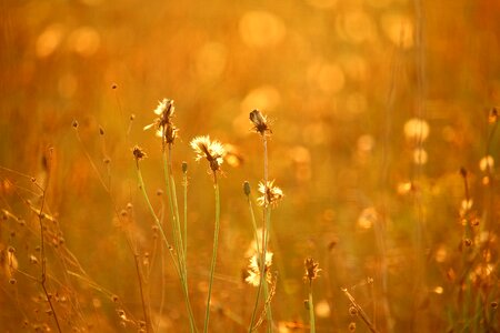 Autumn autumn mood nature