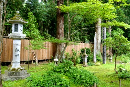 Hondo greenery - Chusonji, Hiraizumi, Iwate - DSC04789