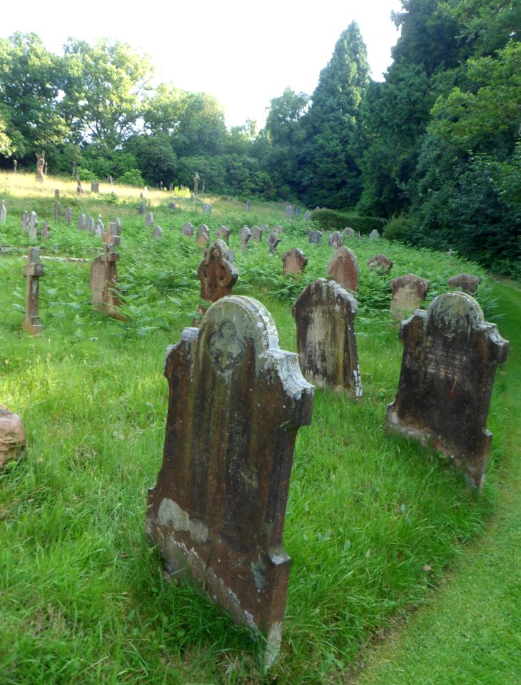 Holy Trinity Church, Guildford Road, Westcott (July 2013) (Churchyard) (2)